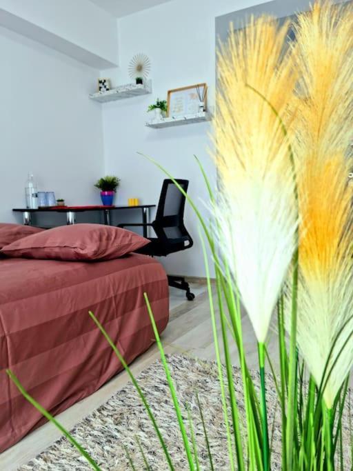 Ultracentral Magheru Studio Apartment Bucharest Exterior photo
